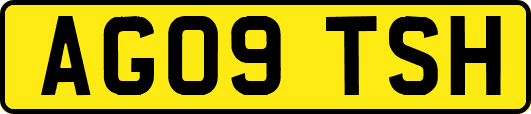 AG09TSH