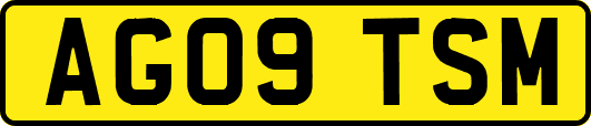 AG09TSM