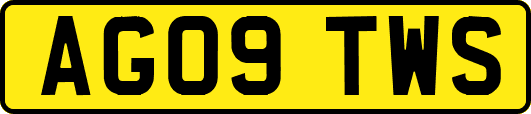 AG09TWS