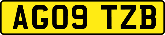AG09TZB