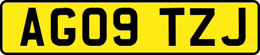 AG09TZJ