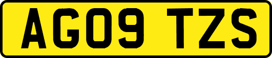 AG09TZS