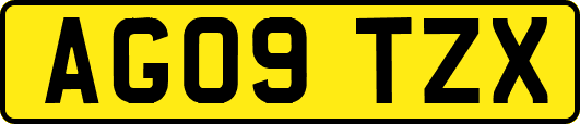 AG09TZX