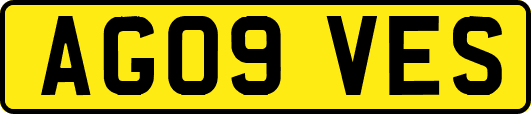 AG09VES