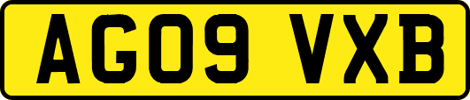 AG09VXB