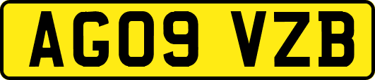 AG09VZB