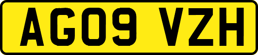 AG09VZH