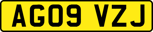 AG09VZJ