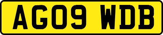 AG09WDB