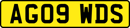 AG09WDS