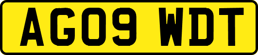 AG09WDT