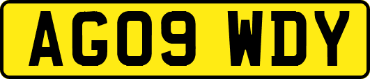 AG09WDY