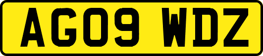 AG09WDZ
