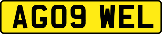 AG09WEL