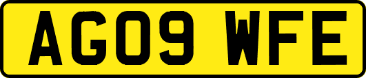 AG09WFE