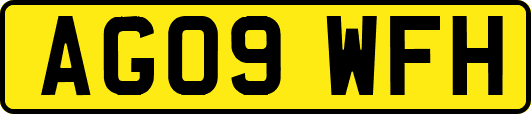 AG09WFH