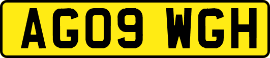 AG09WGH