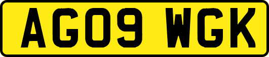 AG09WGK