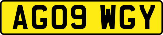 AG09WGY
