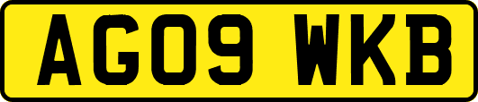 AG09WKB