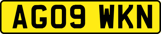 AG09WKN
