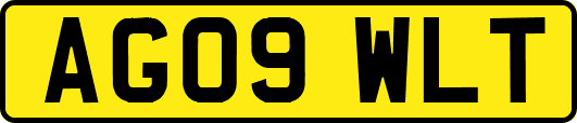 AG09WLT