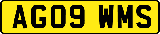 AG09WMS