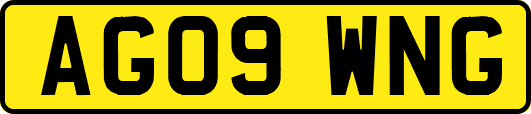 AG09WNG