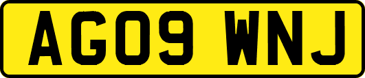 AG09WNJ