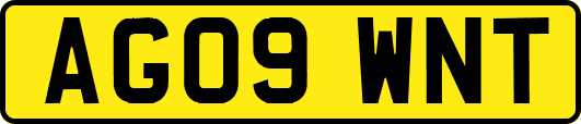 AG09WNT