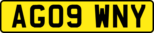 AG09WNY