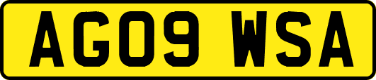 AG09WSA