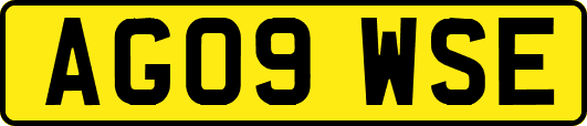 AG09WSE