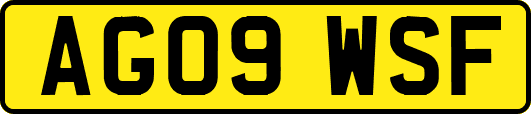 AG09WSF