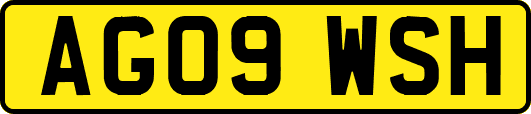 AG09WSH