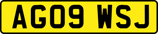 AG09WSJ