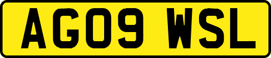 AG09WSL