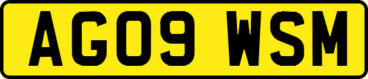 AG09WSM