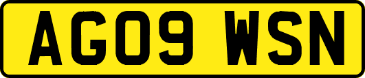 AG09WSN