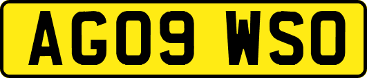 AG09WSO