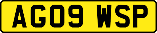 AG09WSP