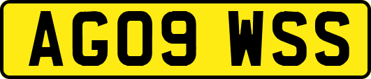 AG09WSS