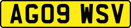 AG09WSV