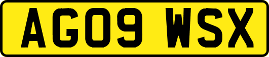 AG09WSX