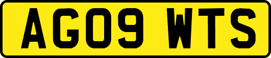 AG09WTS