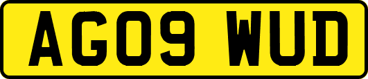 AG09WUD
