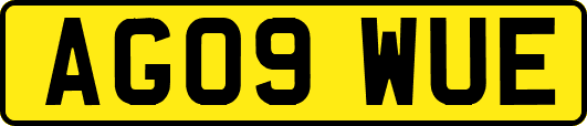 AG09WUE
