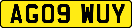 AG09WUY