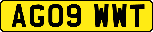 AG09WWT