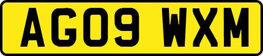 AG09WXM